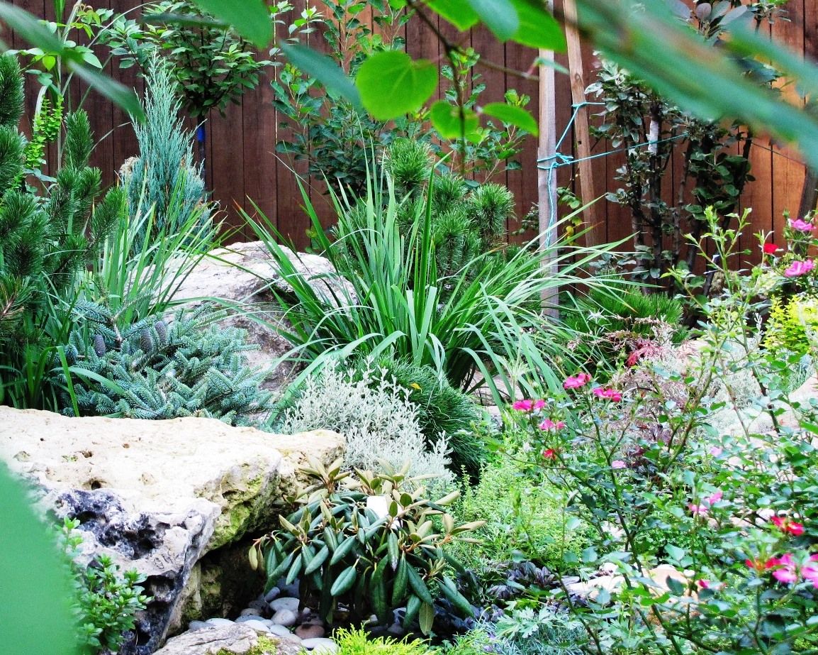 Каменистый сад у Мещерского парка